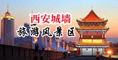插小嫩逼视频中国陕西-西安城墙旅游风景区